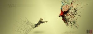facebook cover 2